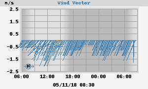Wind Vector